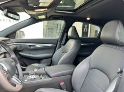 
										2023 Infiniti QX55 LUXE full									