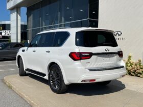 2023 Infiniti QX80 PROACTIVE