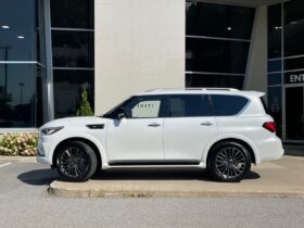 2023 Infiniti QX80 PROACTIVE