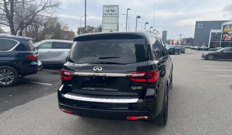 
								2024 Infiniti QX80 PROACTIVE full									