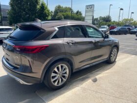 2019 Infiniti QX50 LUXE