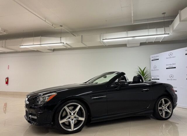 
								2015 Mercedes-Benz SLK350 Roadster full									