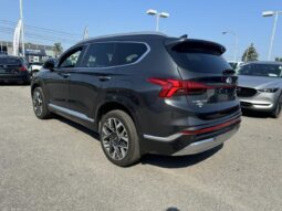 
										2022 Hyundai Santa Fe Ultimate Calligraphy TI full									