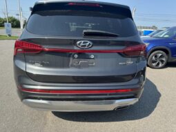 
										2022 Hyundai Santa Fe Ultimate Calligraphy TI full									