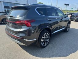 
										2022 Hyundai Santa Fe Ultimate Calligraphy TI full									