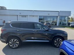 
										2022 Hyundai Santa Fe Ultimate Calligraphy TI full									