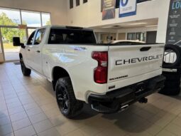 
										2022 Chevrolet Silverado 1500 Lt Trail Boss full									