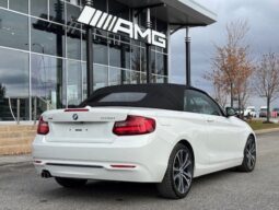 
										2015 BMW 228i XDrive Cabriolet full									