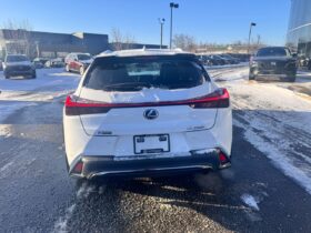 2020 Lexus UX 250h F-SPORT