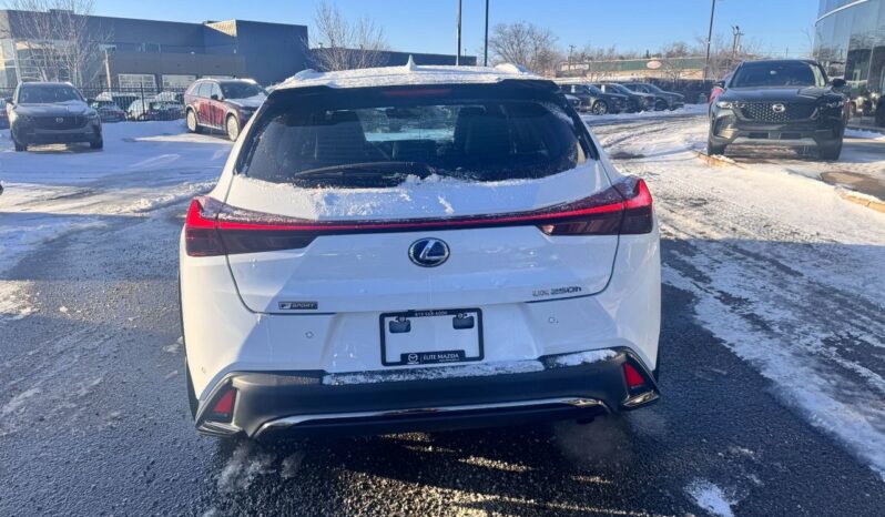 
								2020 Lexus UX 250h F-SPORT full									