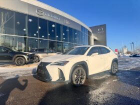 2020 Lexus UX 250h F-SPORT