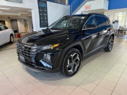 2023 Hyundai Tucson - Occasion VUS - VIN: KM8JCCA19PU130362 - Buckingham Chevrolet Buick GMC Gatineau