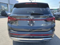 
										2022 Hyundai Santa Fe Ultimate Calligraphy TI full									