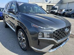 
										2022 Hyundai Santa Fe Ultimate Calligraphy TI full									