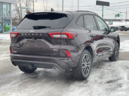 
										2023 Ford Escape ST-Line TI full									