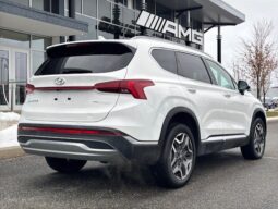 
										2022 Hyundai Santa Fe Plug-In Hybrid Preferred full									