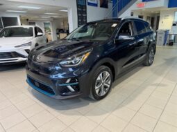 
										2020 Kia Niro EV SX Touring full									