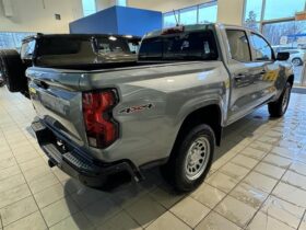 2025 Chevrolet Colorado Crew Cab Short Box 4-Wheel Drive Work Truck