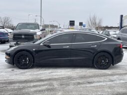 
										2019 Tesla Model 3 Longue autonomie TI full									