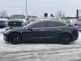 2019 Tesla Model 3 Longue autonomie TI