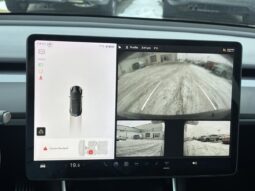 
										2019 Tesla Model 3 Longue autonomie TI full									