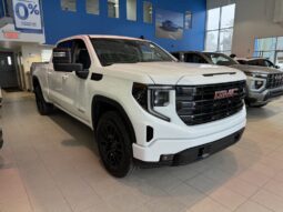 
										2025 GMC Sierra 1500 Crew Cab Standard full									