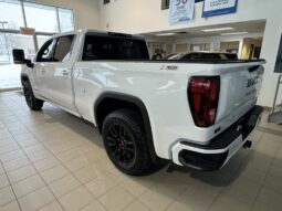 
										2025 GMC Sierra 1500 Crew Cab Standard full									