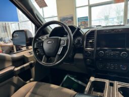 
										2025 GMC Sierra 1500 Crew Cab Standard full									