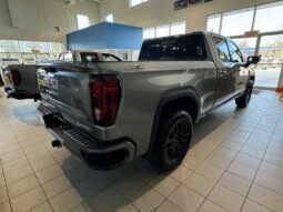 
										2025 GMC Sierra 1500 Crew Cab Standard full									