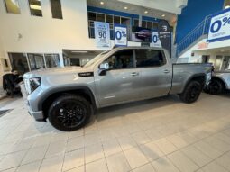 
										2025 GMC Sierra 1500 Crew Cab Standard full									