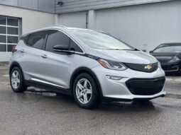 
										2019 Chevrolet Bolt EV Premier 5D full									