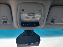 
										2019 Chevrolet Bolt EV Premier 5D full									