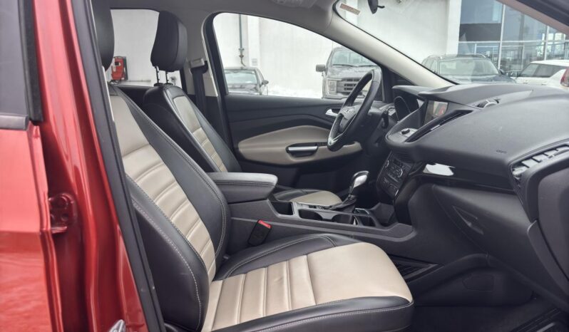 
								2019 Ford Escape SEL 4RM full									