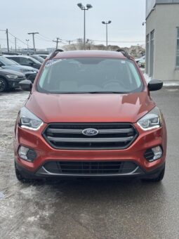 2019 Ford Escape - Occasion VUS - VIN: 1FMCU9HD3KUB36692 - Volkswagen de l'Outaouais Gatineau