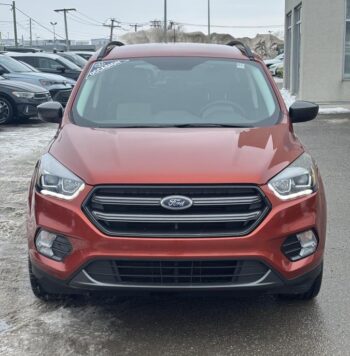 2019 Ford Escape - Occasion VUS - VIN: 1FMCU9HD3KUB36692 - Volkswagen de l'Outaouais Gatineau