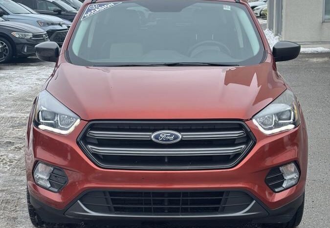 2019 Ford Escape - Occasion VUS - VIN: 1FMCU9HD3KUB36692 - Volkswagen de l'Outaouais Gatineau