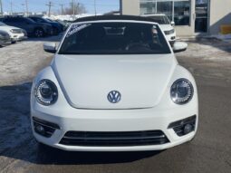 
										2019 Volkswagen Beetle Convertible Édition Wolfsburg BA full									