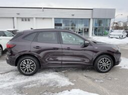 
										2023 Ford Escape ST-Line TI full									