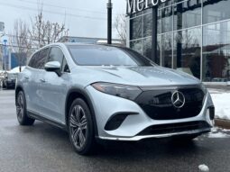 
										2023 Mercedes-Benz EQS450 SUV (BEV) full									