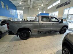 
										2024 Chevrolet Silverado 1500 Crew Cab Standard full									