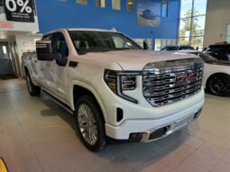 
										2025 GMC Sierra 1500 Crew Cab Standard full									