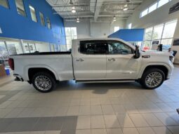 
										2025 GMC Sierra 1500 Crew Cab Standard full									