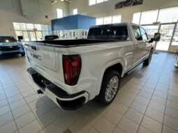 
										2025 GMC Sierra 1500 Crew Cab Standard full									