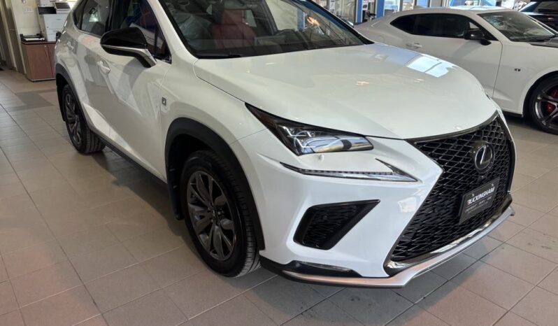 
								2020 Lexus NX 300 full									