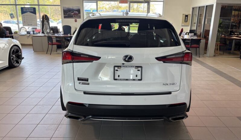 
								2020 Lexus NX 300 full									