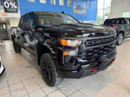 
										2025 Chevrolet Silverado 1500 Crew Cab Standard full									