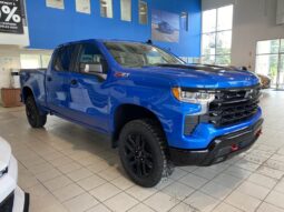 
										2025 Chevrolet Silverado 1500 Crew Cab Standard full									