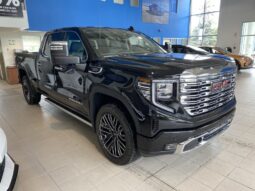 
										2025 GMC Sierra 1500 Crew Cab Standard full									