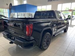 
										2025 GMC Sierra 1500 Crew Cab Standard full									