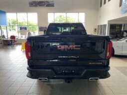 
										2025 GMC Sierra 1500 Crew Cab Standard full									